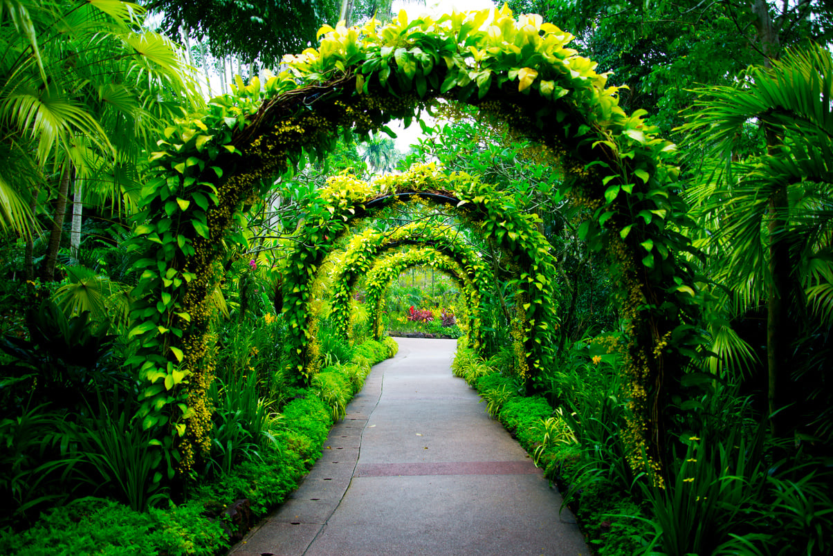 Singapore Botanic Gardens